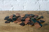 Guitar Picks