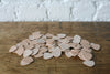 Guitar Picks